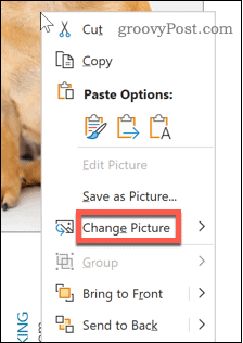 Alternativ for Word Change Picture