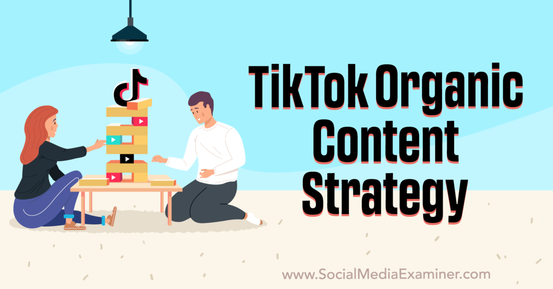 TikTok Organic Content Strategy-Social Media Examinator