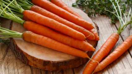 Hvordan dyrke gulrøtter i potter hjemme? Gulrotdyrkningsmetoder i potter