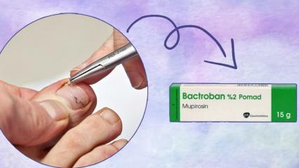 Hva gjør Bactroban krem ​​og hvordan du bruker den? Bactroban pomade pris 2023