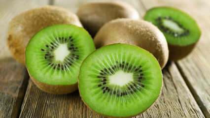 Hva er fordelene med kiwi? Hvordan lages kiwi-te? Hvilke sykdommer er kiwi bra for?
