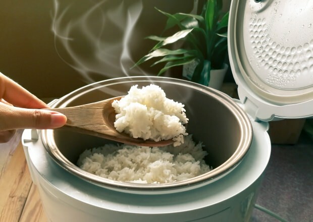 Hva er funksjonene til baldo ris