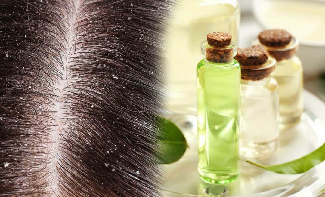 Kan du bruke tea tree olje for flass? Kan du smøre tea tree olje på håret ditt og er det bra?
