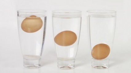 Hvordan forstå foreldede egg?