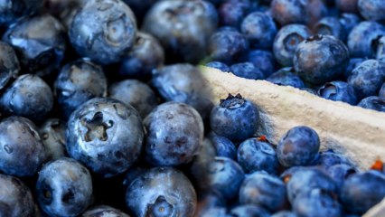 Hva er fordelene med blåbær for huden? Hudpleiemasker laget med blåbær