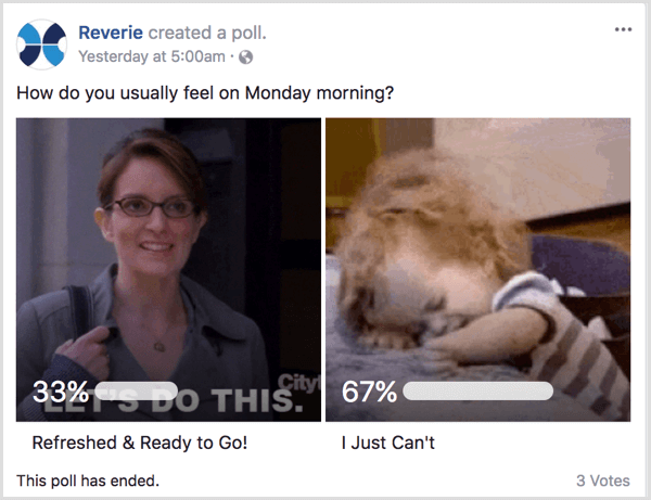Facebook gif meningsmåling viser menneskelig side