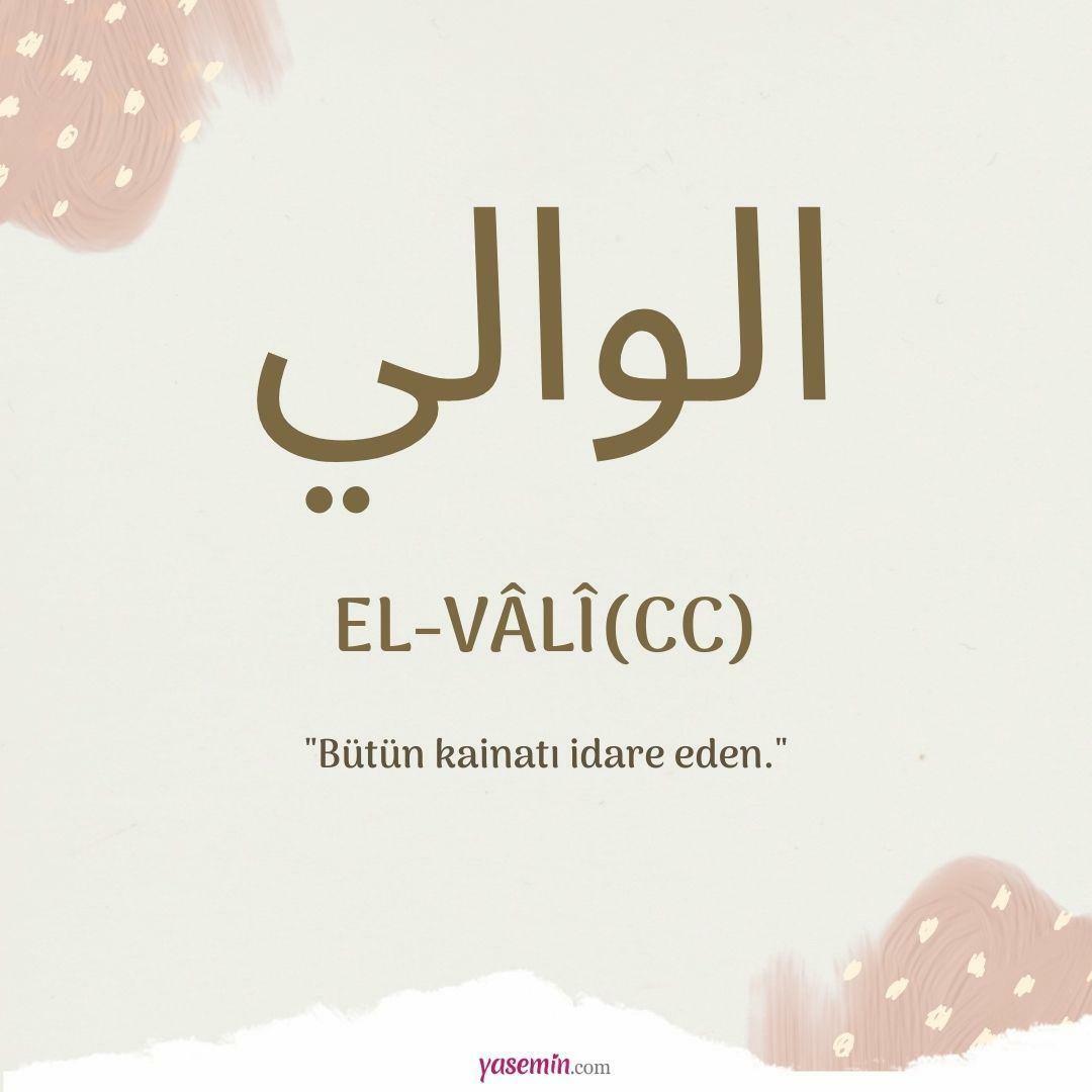 Hva betyr al-Vali (c.c)?