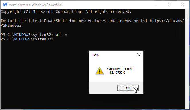 versjon av windows terminal