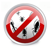 Installer antivirus for å squash bugs og nasy viruskode!