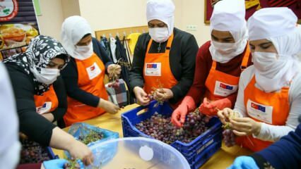 Syriske kvinner lærer å gjøre druer til melasse i İzmir