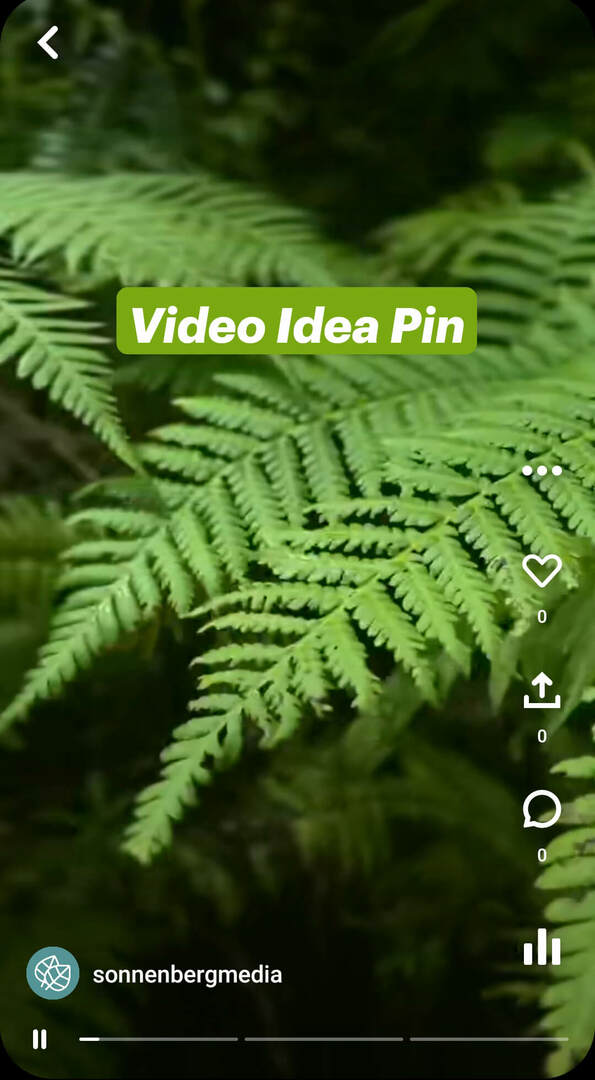 what-er-pinterest-idea-pins-sonnenbergmedia-video-pin-example-1