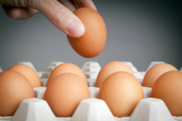 Praktiske råd for å holde egg ferskt