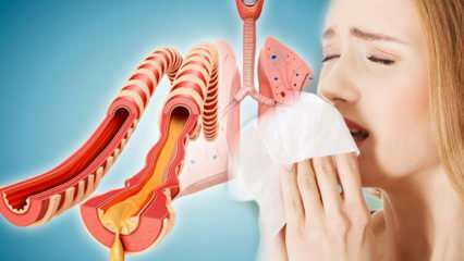 Hva forårsaker sputum? Hvilke sykdommer er sputum varslet? Naturlige måter å utvise sputum ...