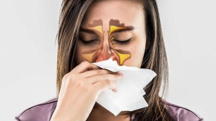 Hva er en allergi? Hva er symptomene på allergisk rhinitt? Hvor mange typer allergier er det? 
