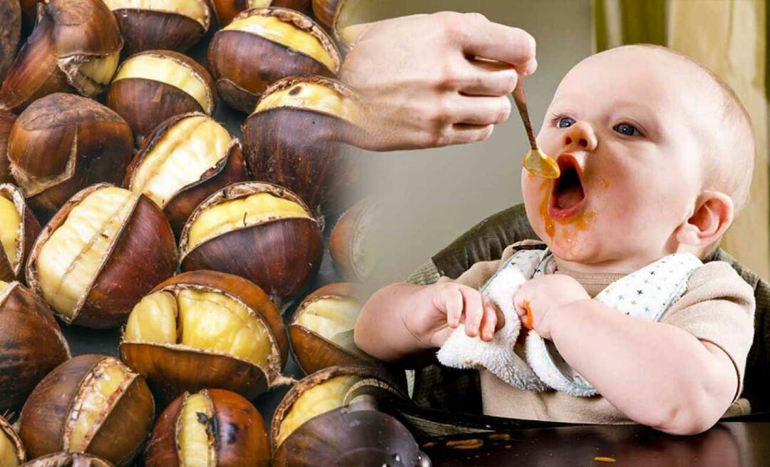 Kan babyer spise kastanjer? Hvordan lage kastanjepudding?