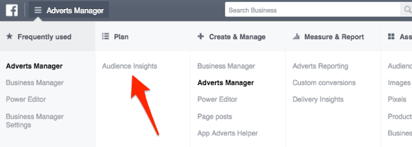 Facebook Ads Manager-meny som viser publikumsinnsikt