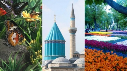 Reiseguide i Konya
