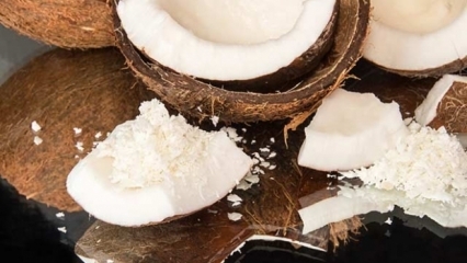 Hvordan kutte kokosnøtt er det mest praktiske?