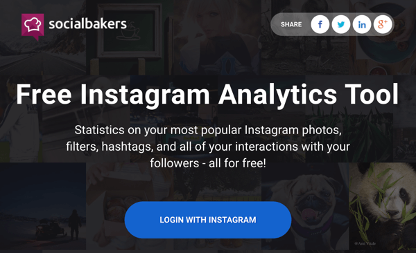 Logg på med Instagram for å få tilgang til Socialbakers 'gratis rapport.