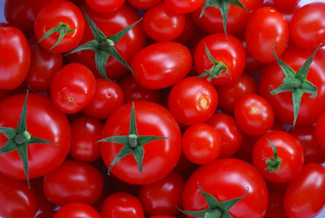 Hvordan velge menemenlik tomater