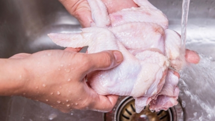 Hvordan skal kyllingen rengjøres? 