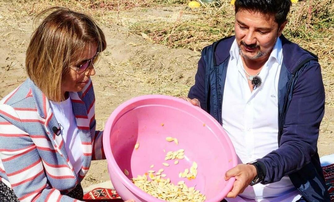 Gresskarfrø til snacks ble høstet i Nevşehir!