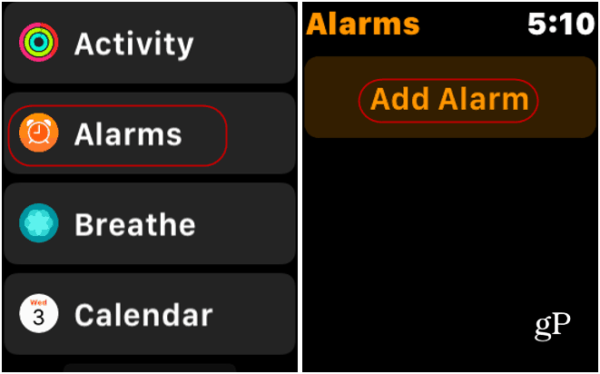 Alarmer App Apple Watch