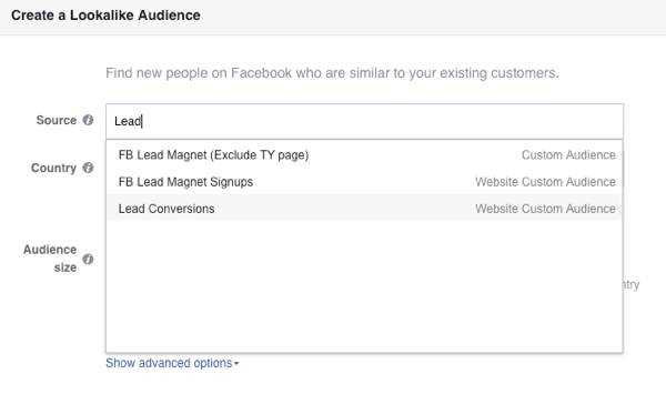 I kilde-feltet velger du ditt tilpassede publikum på Facebook.
