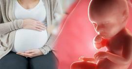 Hvordan får babyer næringsstoffer fra moren under svangerskapet? Hvordan mate babyen i livmoren fra moren