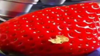 Jordbærvideo som markerte sosiale medier! Du vil ikke legge jordbæret i munnen igjen ...