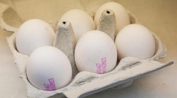 Hvordan forstås organisk egg? Hva betyr kodene til egget?