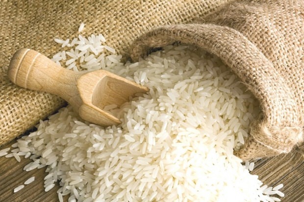 Hva er Baldo ris? Hva er funksjonene til Baldo ris? 2020 baldo ris priser