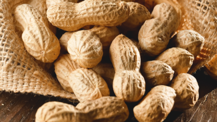 Hva er fordelene med peanøtter? Hvilke sykdommer er peanøtter bra for?