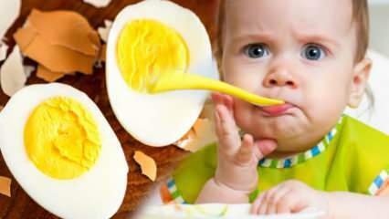 Hvordan skal eggeplommer gis til babyer? Hvor mange måneder skal egget starte? Babyegg oppskrift