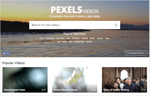 Pexels tilbyr gratis arkivvideo du kan bruke i LinkedIn-videoannonsene dine.