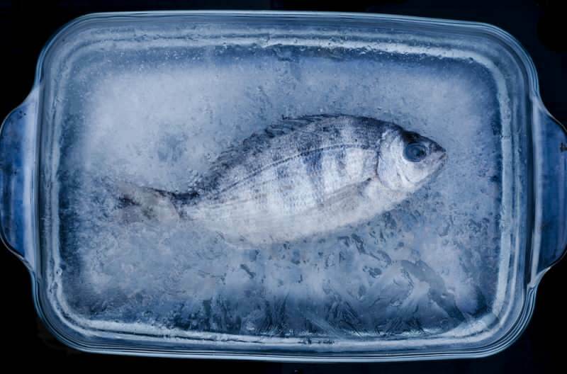 Hvor mange dager skal fisken i fryseren konsumeres?