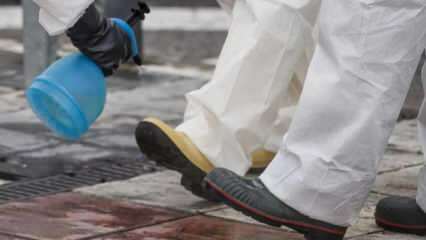 Hvordan kan jeg gjøre full sko rengjøring? Hvordan desinfiseres bunnen av skoen?