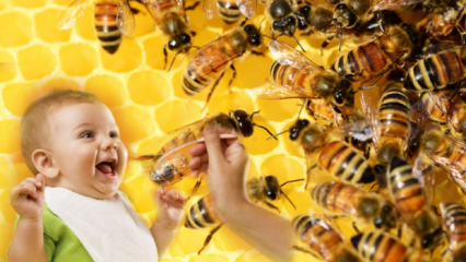 Hvordan skal honning gis til babyer? Hva skal ikke gis før fylte 1 år
