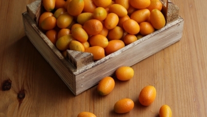 Hva er fordelene med Kumquat (Kumkat)? Hvilke sykdommer er kumquat bra for? Hvordan konsumeres kumquat?