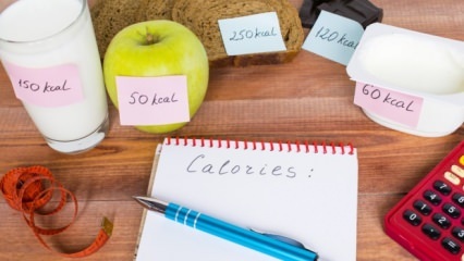 Hvordan beregnes det daglige kaloribehovet?
