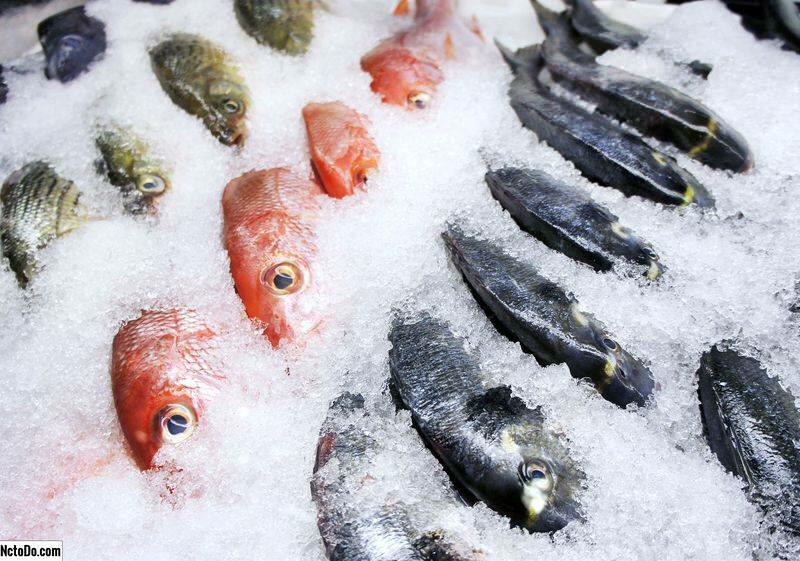 Hvordan lagre fisk i fryseren