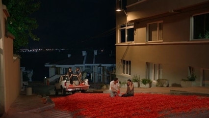 Onur Tunas ekteskapsforslag med 100 tusen roseblader!