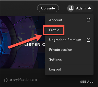 spotify-profil