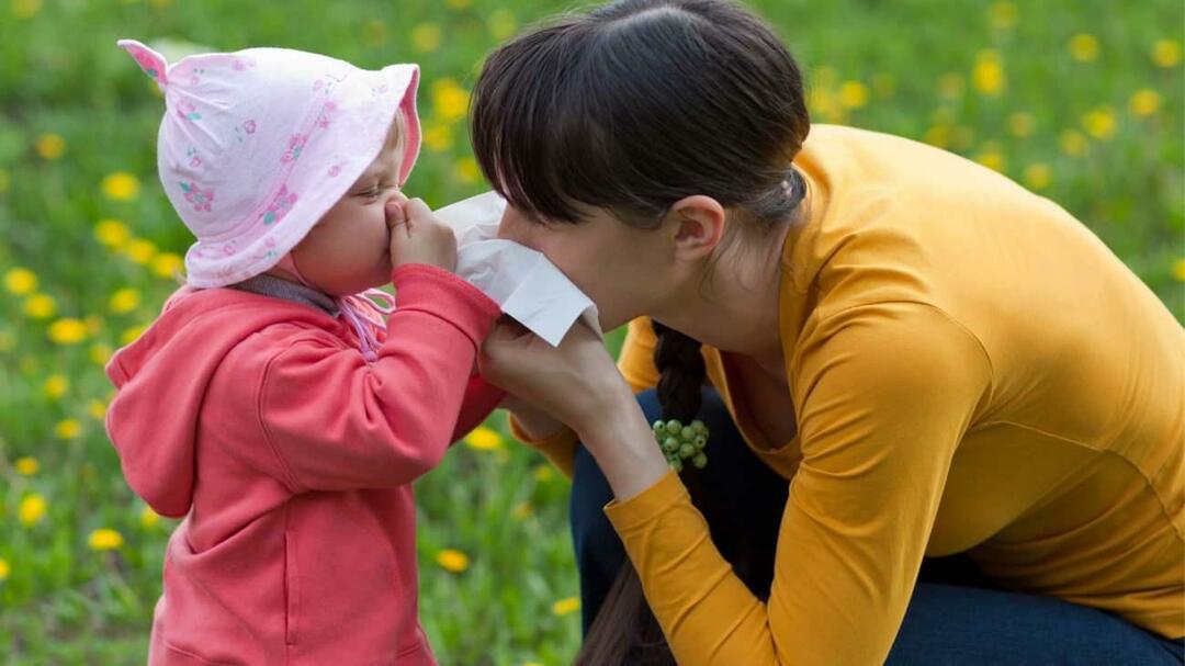 Hva er sesongmessig allergi hos barn? Blander det seg med kulde? Hva er bra for sesongmessige allergier?