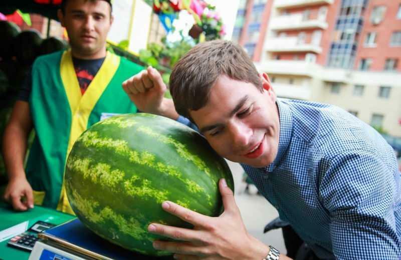 hvordan forstå saftig vannmelon