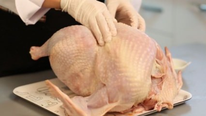 Hvordan skal kyllingen rengjøres?