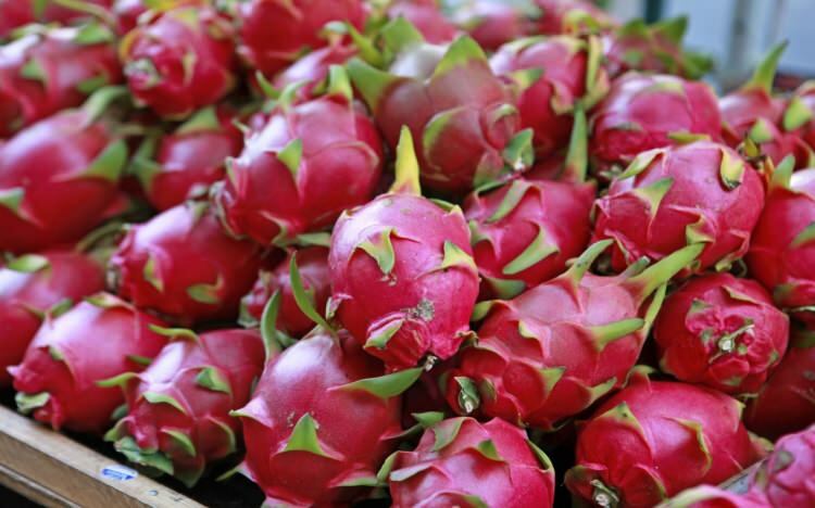 Vet du fordelene med Pitaya?