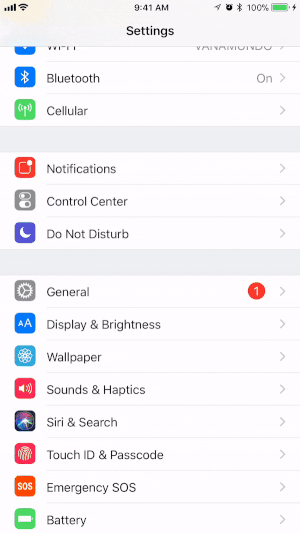 Legg til skjermopptaksfunksjonen til kontrollsenteret på iOS-enheten din.