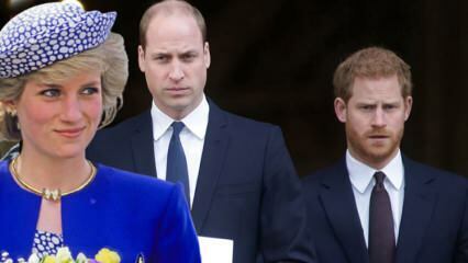 Skyld prinsene til BBC... Prins William: Det intervjuet brøt opp familien vår!