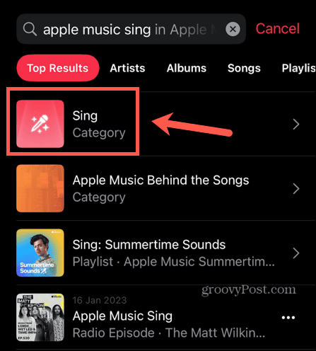 kategorien apple music sing